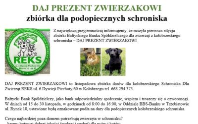 Daj prezent zwierzakowi