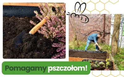 BBS-owa akcja „Pomagamy pszczołom”