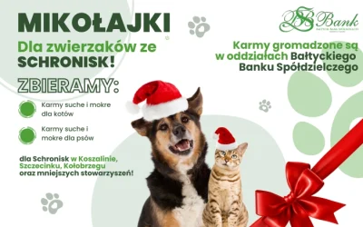 Mikołajkowa zbiórka karmy dla zwierząt — pomagamy ponownie!
